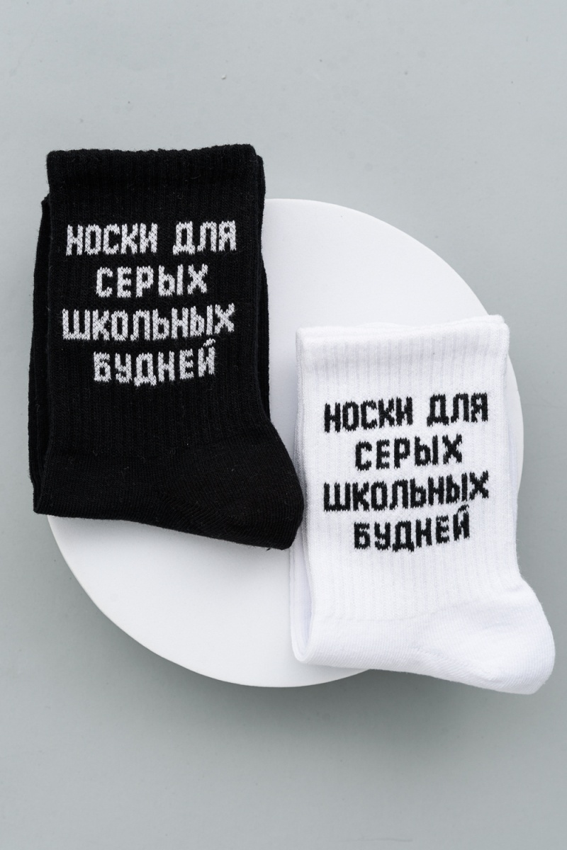 Детские носки стандарт Школьные будни (набор 2 пары) (черный)