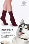 Носки шерстяные GL678 (разноцветные)