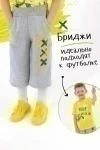 Бриджи Иксики (серый)