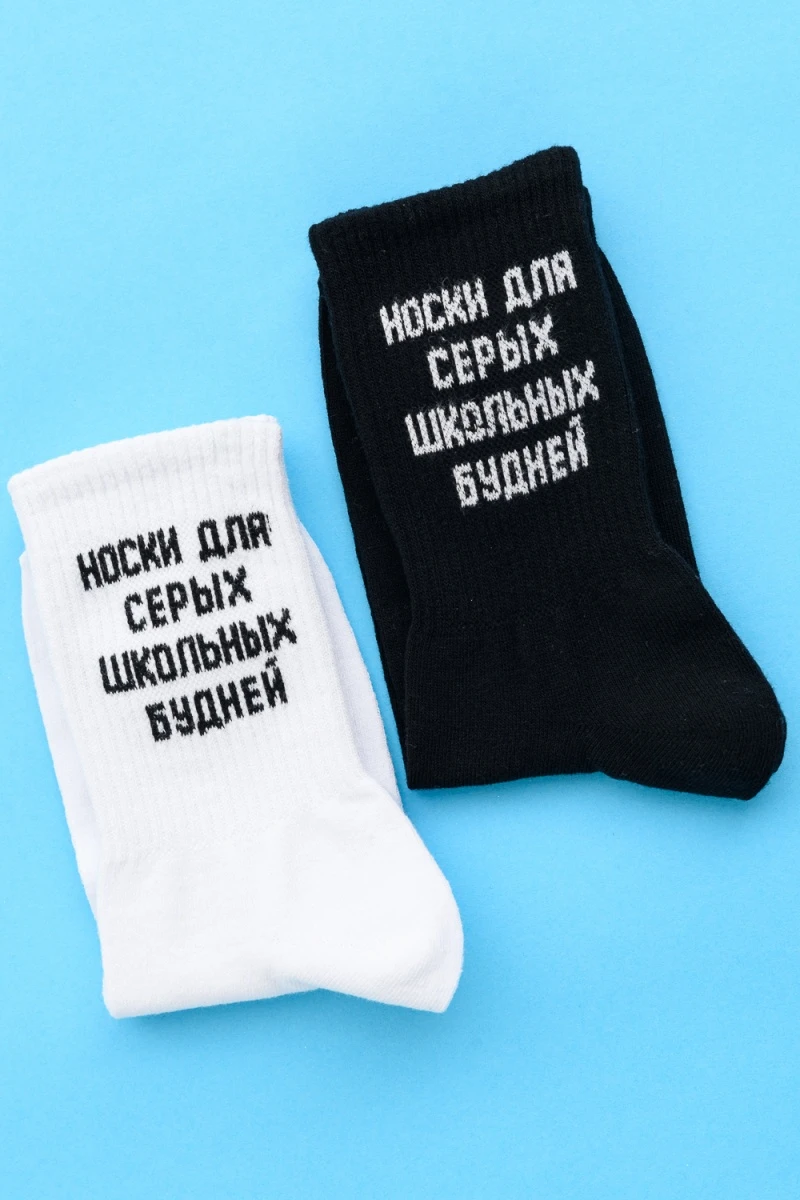 Носки стандарт Школьные будни (набор 2 пары) (черный)