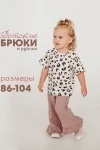 Брюки 5-280 шоколадный (шоколадный)