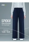 Брюки Blue Premium (синий)